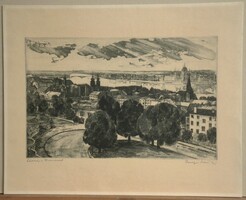 + Csurgói Máté Lajos: Látkép a Dunával