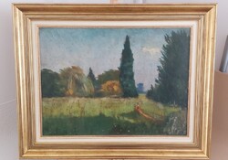 Mikola András kákás mező tájkép festménye  84x66 cm kerettel