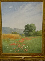 ZORKÓCZY GYULA (1873 - 1932 ) :FELVIDÉKI TÁJ VIRÁGZÓ PIPACSOKKAL