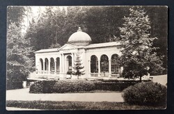 Marianské Lázné (Marienbad)Lesni pramen ásványvízforrás képeslap