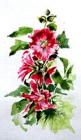 Kovács Anna Brigitta: Mallow floral II  -  watercolor painting - Mályva II