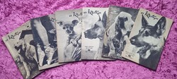 A Kutya magazin 1966 július-december - fél évfolyam