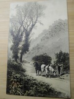 Régi képeslap  tájkép, szekér, lovak, 1915