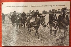 1915 1. világháborús futott képeslap - Gépfegyverosztály öszvérekkel