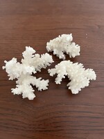 Korallok egyben eladóak