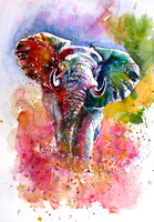 Kovács Anna Brigitta: Playful elephant III -  watercolor painting - Játékos elefánt III