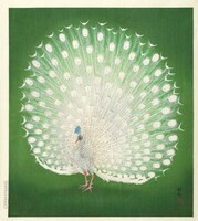 Ohara Koson Fehér páva, kacho-e japán fametszet shin hanga ázsiai keleti reprint nyomat falikép