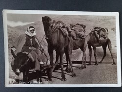 Régi képeslap - Libanon – tevehajcsár (karaván)