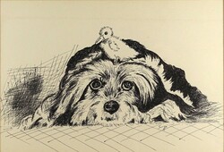1Y990 Jelzett tollrajz : Kutyus kiskacsával 34.5 x 23.5 cm