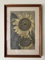 Németh András limitált szériás, aláírt grafika – Napraforgók