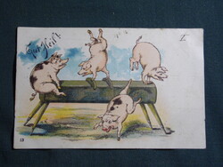 Képeslap,litho,grafikai,humor,vicc,malac lólengés torna,Pécs,Pécsvárad bélyegzés,1898-