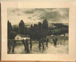 + Novák Lajos : Fűzfák