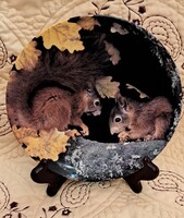 Mókusos porcelán falitányér, vadászos dísztányér (M6048)