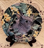 Nyuszis porcelán dísztányér, falitányér (M6045)