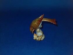 Herendi  madár lepkével