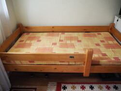 Ágy (borovi fenyő)