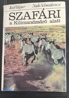 Szafari a Kilimandzsáró alatt – izgalmas afrikai kalandok képekkel