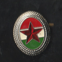 Sapkarózsa tiszthelyettesi.