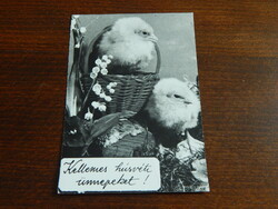 Húsvéti üdvözlet - csibék kosárban gyöngyvirággal - fekete-fehér képeslapon