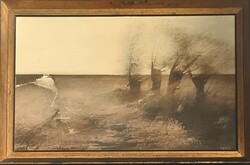 Lóránt János Demeter (1938 - ) : Öreg fűzfák
