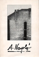 Barna-Kenedi-Sulyok-Várady: A Napló 1977-1982