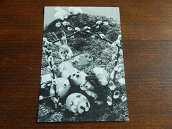 Húsvéti üdvözlet - bábnyuszik, süni, tojásokkal - fekete-fehér képeslapon