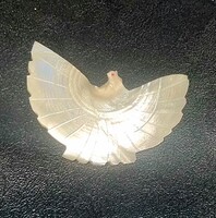 Vintage szép kagyló galamb, madár bross kitűző