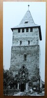 Képeslap, Nagyszalonta, Arany János múzeum, méret 20*9cm (k)
