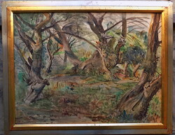 Klie Zoltán: Nagymaros , Eredetiség igazolással SZÁMLÁVAL