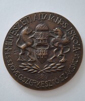 Művészeti Általános Iskola és Szövegszerkesztő Szakiskola bronz plakett  9,6 cm díszdobozban