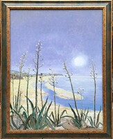 Kováts Nagy Ira (1921-2008) : Tengerparti agavék, Képcsarnokos,80x60 cm.