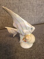 Drasche vitorlás hal . Kagyló héj mázas 16cm