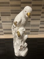 Antik Olasz porcelán ara papagáj!