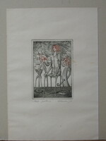 + Kolozsvári Grandpierre Miklós : Homo frottecó