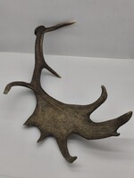 Nagyméretű Dámszarvas agancs eladó