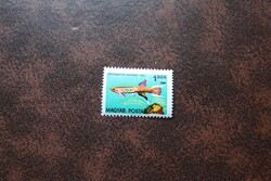 Tévnyomat 1962 Akváriumi díszhalak 1,50 Ft **  Kat: 300 Ft az 1962-es évszá, kétszer szerepel