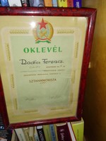 Oklevél 1955-ből