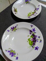 Régi Gebrüder Benedikt cseh porcelán falitányérok