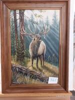 DABRONAKI KÁROLY Vapiti, bőgő szarvas 2018.