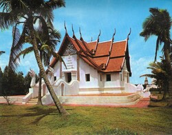 Képeslap: Ancient city, pálmafák.