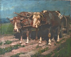 Viski János 70x100cm