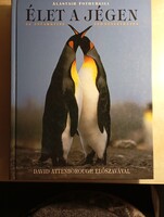 Alastair Fothergill Élet a jégen