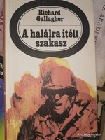 Gallagher: A halálra ítélt szakasz (3,5)