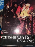 Vermeer van Delft életregénye (8)
