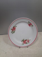 Zsolnay tányér mikulásvirággal