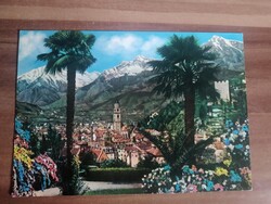 Régi képeslap, Olaszország,Merano, Pálmafa,  1965