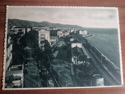 Régi képeslap, Olaszország, San Remo, Pálmafa, postatiszta, 1938
