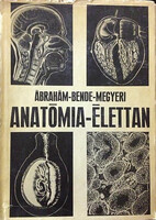 Ábrahám-Bende-Megyeri: Anatómia-élettan