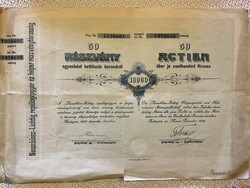 Neuschlosz-Lichtig repülőgépgyár és faipari részvénytársaság 50 db 200 korona részvény egyben