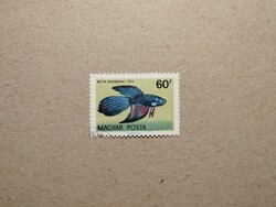 Magyarország - Akváriumi díszhalak 1962